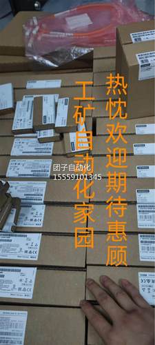 6ES7133 6ES 133-1/BL00/1BL011BL10/1BL11/1E1H00/JH700-0XB0询 - 图0