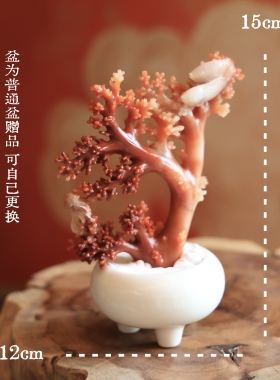 石雕珊瑚盆景摆件 手工雕刻老挝石 新中式国风清供家居装饰品