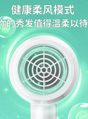 正品博锐电吹风机1621家用宿舍用学生强力大功率吹风筒包邮