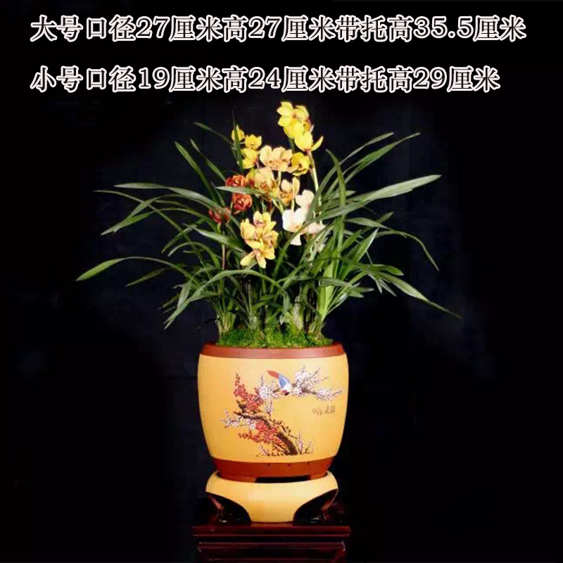 宜兴紫砂花盆陶瓷大号高档客厅惠兰君子兰专用盆精品圆形带底座 - 图0