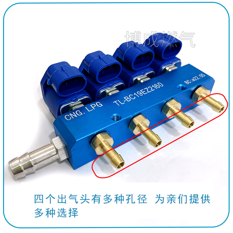 喷轨CNG汽车天然气喷轨油改气喷轨配件车用LPG液化气共轨套件喷嘴