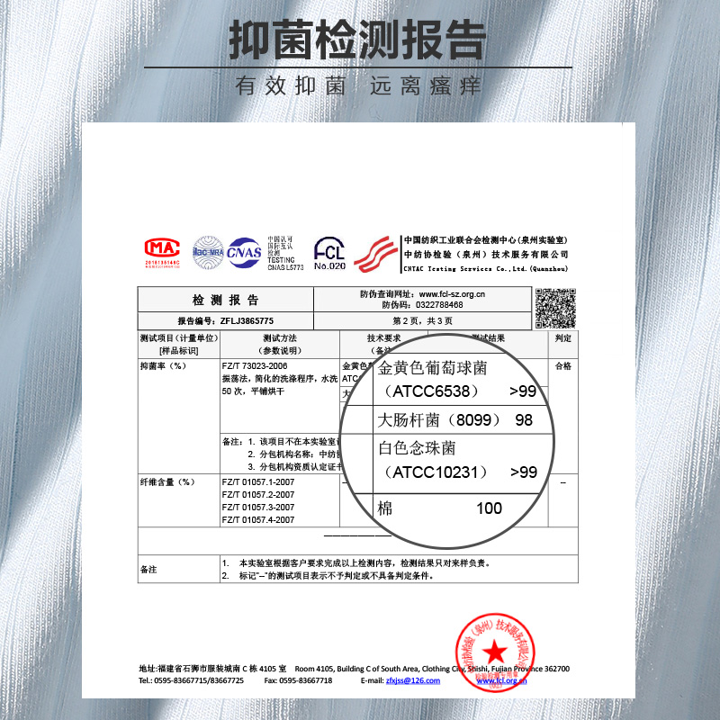 芬腾4条装内裤女棉质中腰透气舒适女士全棉抗菌裆大码女生三角裤 - 图2