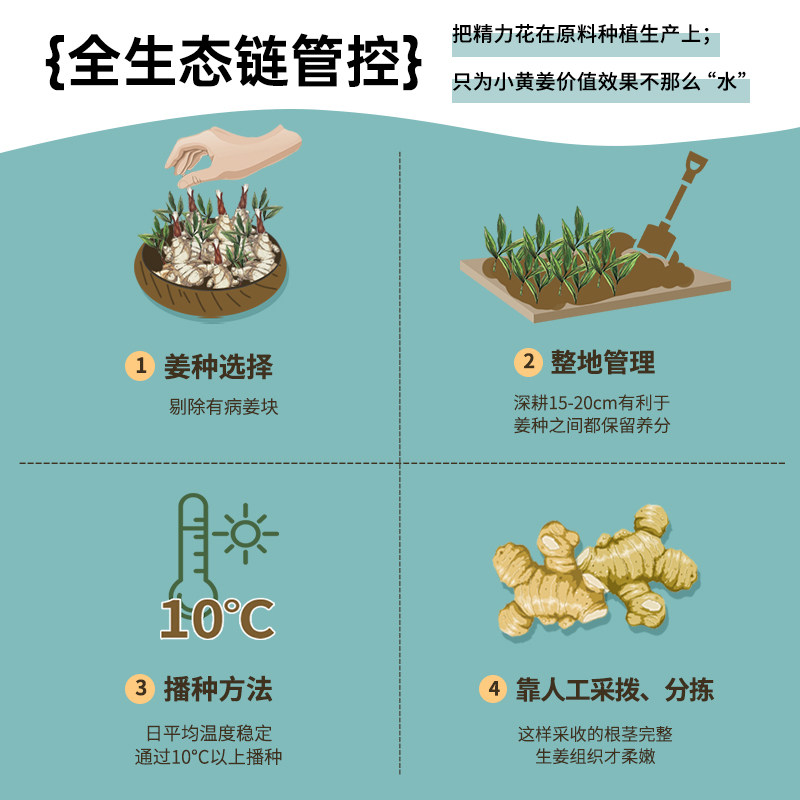 【孙杨代言】澳雪防脱发洗发水小黄姜生姜洗头水男女士洗头膏露,淘宝优惠券,粉丝福利购,淘宝优惠卷