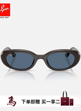 RayBan雷朋枕形注塑太阳镜