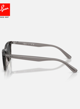 RayBan雷朋不规则形丙酸盐太阳镜