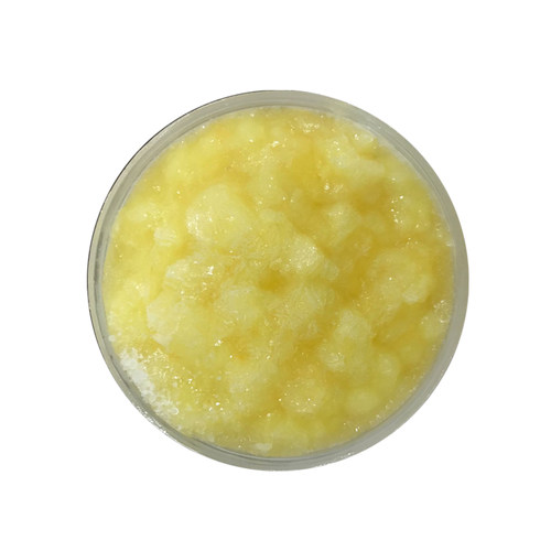 2026新蜂王浆 春浆 蜂皇浆 纯正天然蜂乳 自产自销 500g 包邮 - 图0