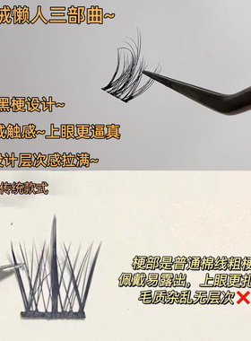 水貂绒5D婴儿假睫毛自然太阳花