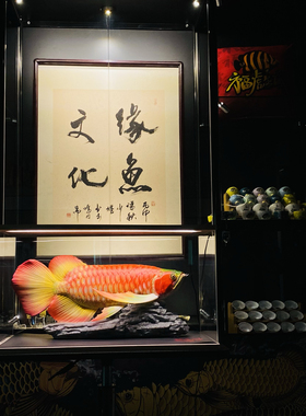 红龙鱼摆件手工涂装