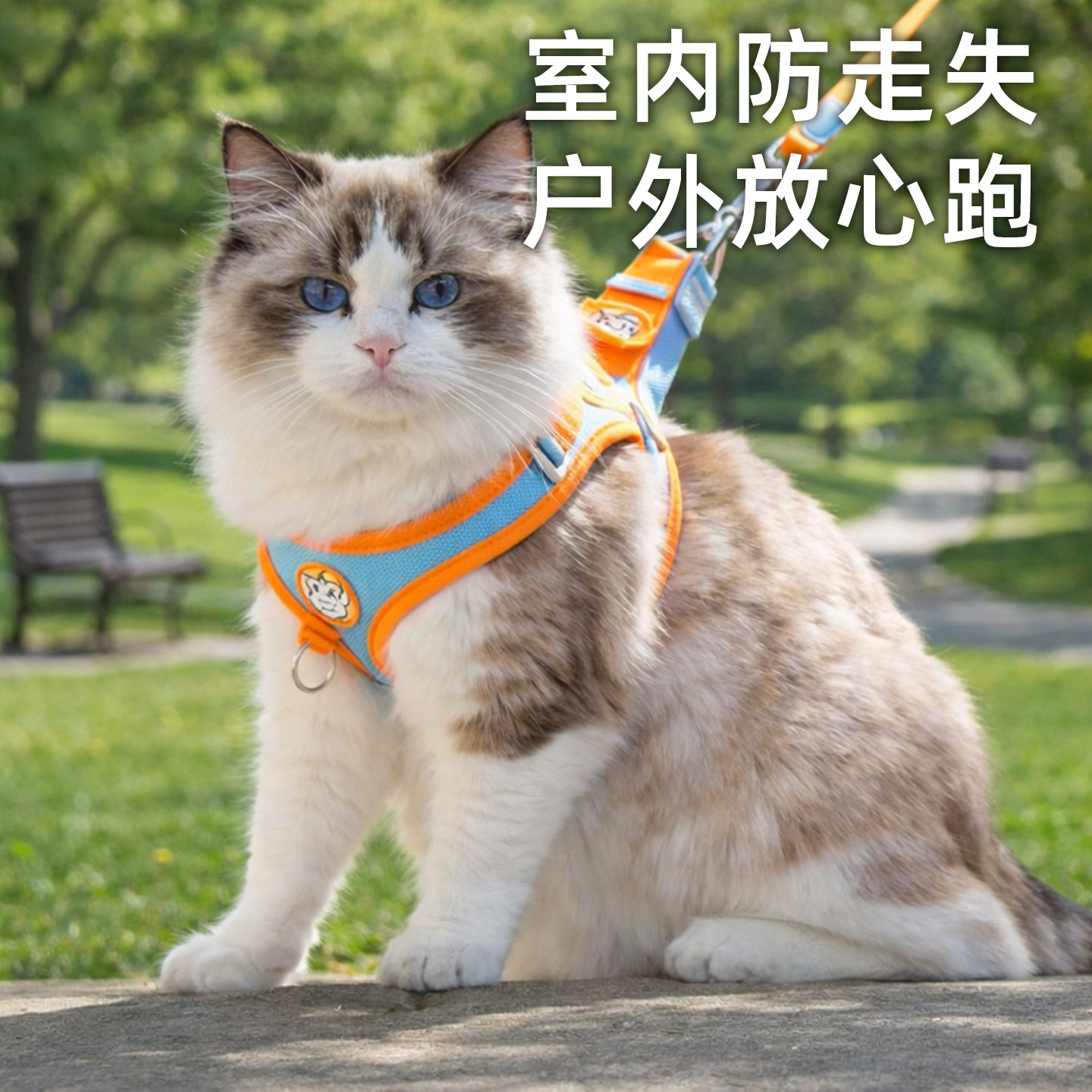 猫咪牵引绳背心式透气反光胸背带防挣脱遛猫绳宠物牵引绳宠物用品,淘宝优惠券,粉丝福利购,淘宝优惠卷