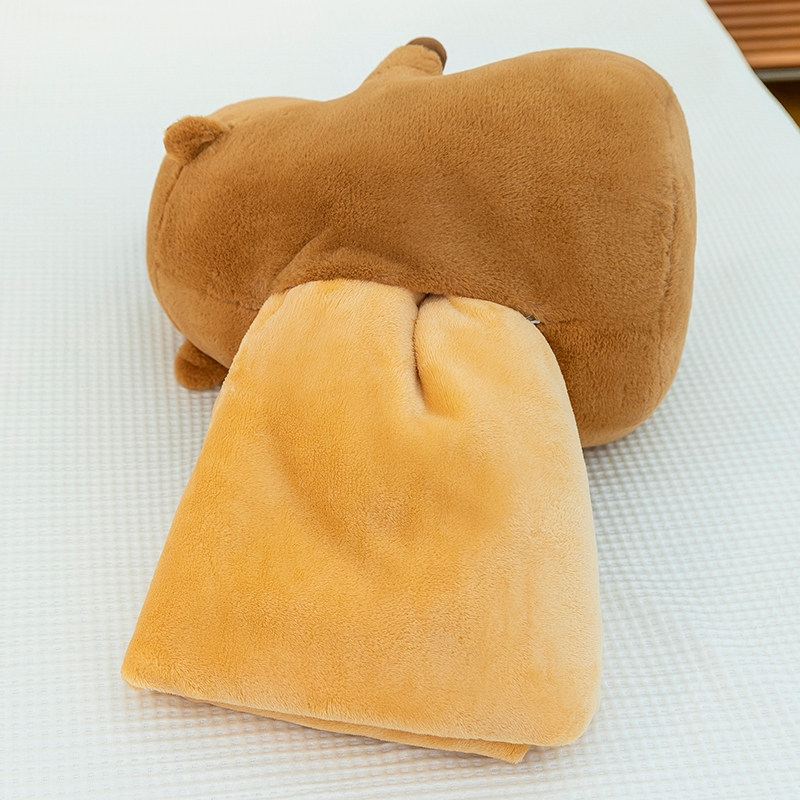 卡皮巴拉毛绒空调毯抱枕被子两用办公室午睡毯可爱水豚玩偶毛毯,淘宝优惠券,粉丝福利购,淘宝优惠卷