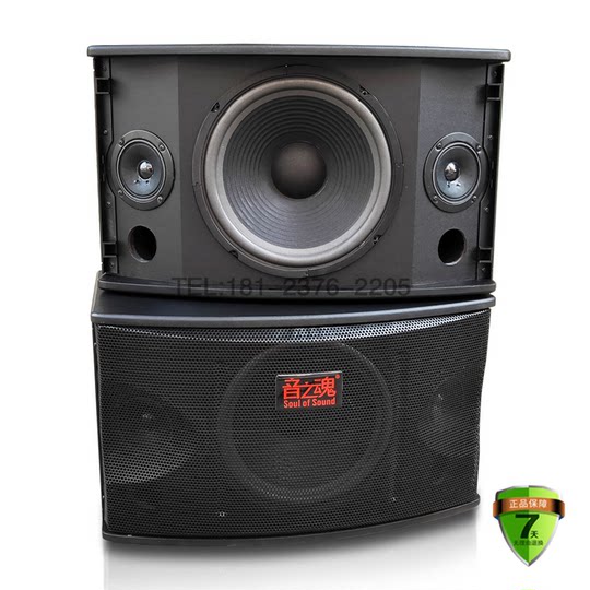 新款10寸卡包音响家用KTV舞台会议室无源壁挂ifi音箱专业音之魂