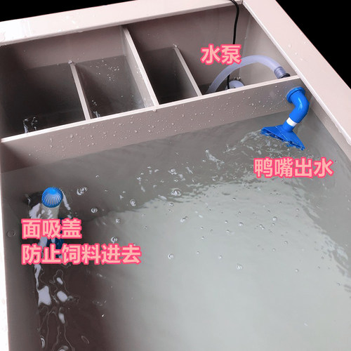 定制订做鱼缸加厚PP塑料板侧过滤盒养乌龟锦鲤大型市场卖海鲜水箱 - 图2