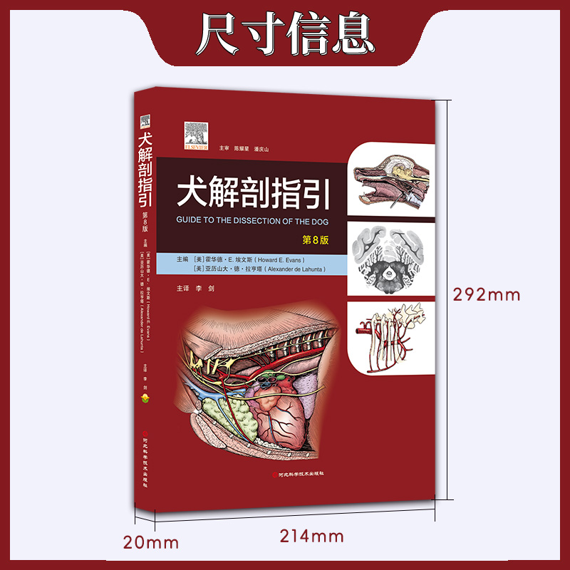犬解剖指引第8版第八版犬解剖彩色图谱简体中文版霍华德·E.埃文斯李剑主译河北科学技术出版社-图1