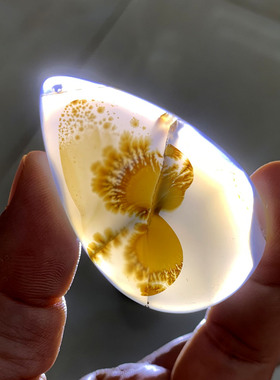 天然水草玛瑙吊坠海洋玉髓毛衣链