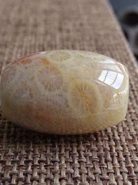 吊坠路路通项链珊瑚化石