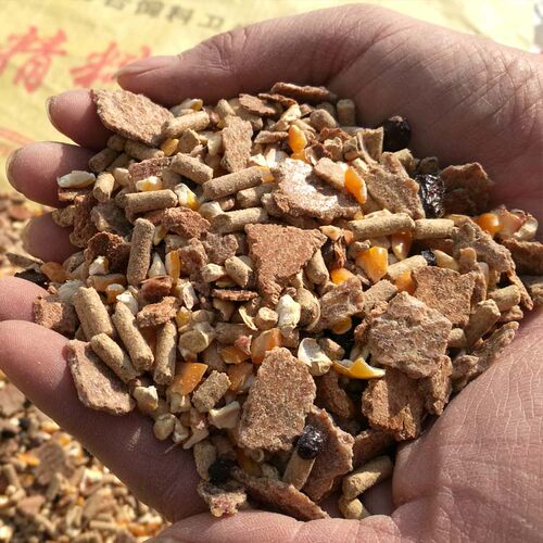 育肥羊饲料混合颗粒羊精料无草粉羊饲料牛羊育肥直达乡镇工厂直发 - 图0