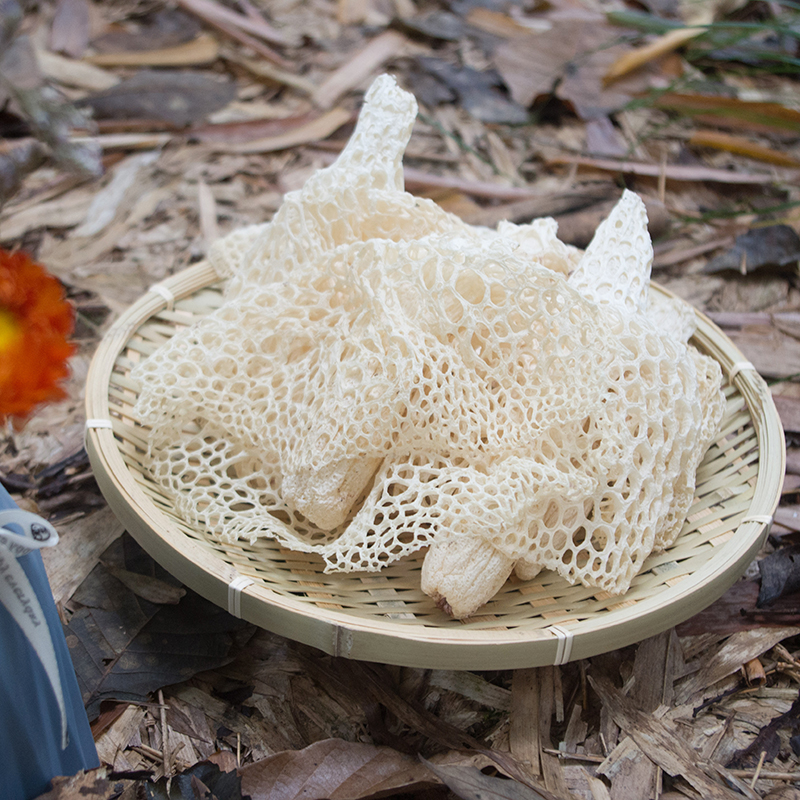 长裙竹荪竹海无硫野生竹荪四川宜宾长宁特产农家优质小朵竹荪100g - 图0