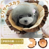 Япония Кодзима Элизабет Кот Кот Тедди Золотой Мао щенок большой круг круга ворон