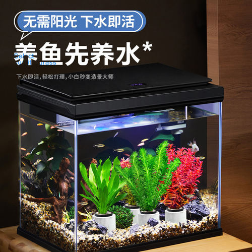 中后景懒人水草水族造景鱼缸装饰真水草套餐活体绿菊宫廷淡水植物 - 图0