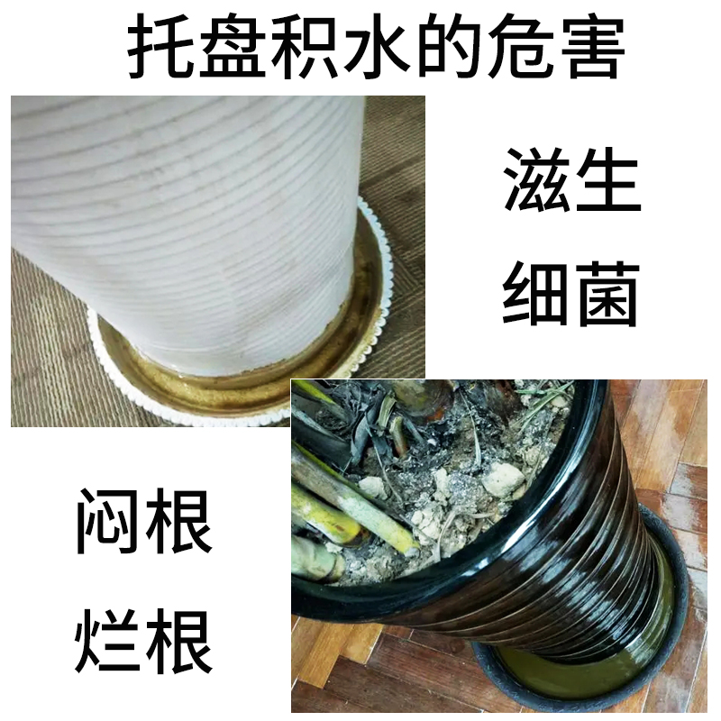 花盆托盘吸水器托盘积水处理神器大吸管换水抽水器大滴管园艺工具 - 图0