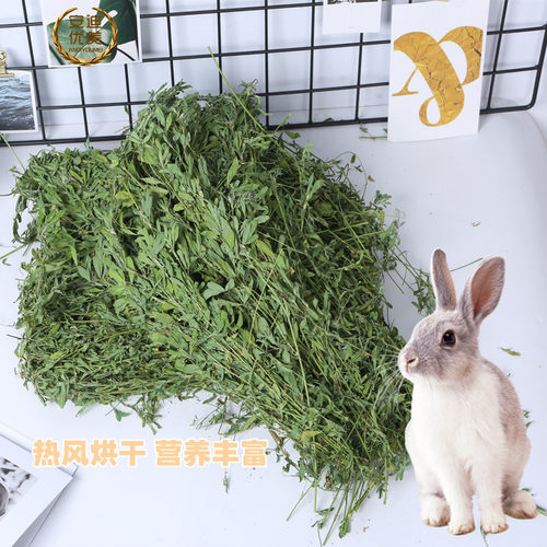 2026年 优质紫花兔草牧草 兔粮 毛重1000克 苜蓿草 龙猫兔子豚鼠 - 图0