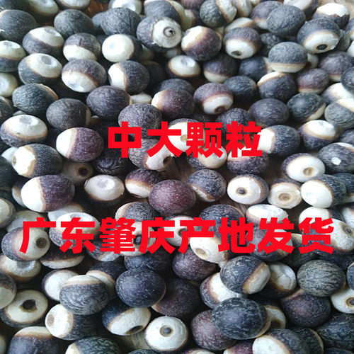 肇庆产地发货黑芡实一斤鸡头米肇实中大颗粒欠实干货500g黑色茨实 - 图0