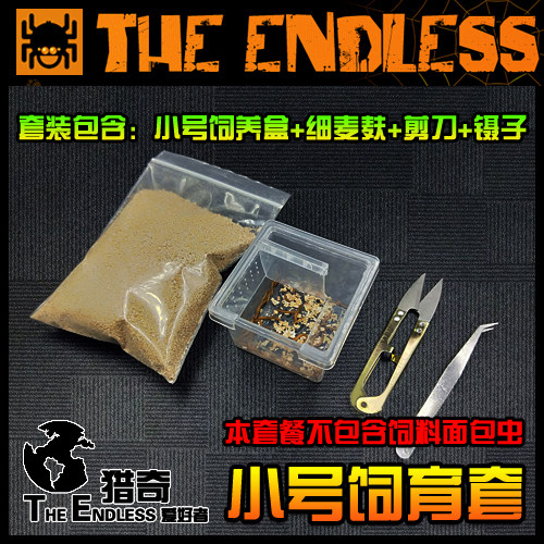 【TE猎奇】爬宠 异宠 螳螂 跳蛛 蜥蜴 昆虫 蜘蛛 活体饲料 面包虫 - 图2