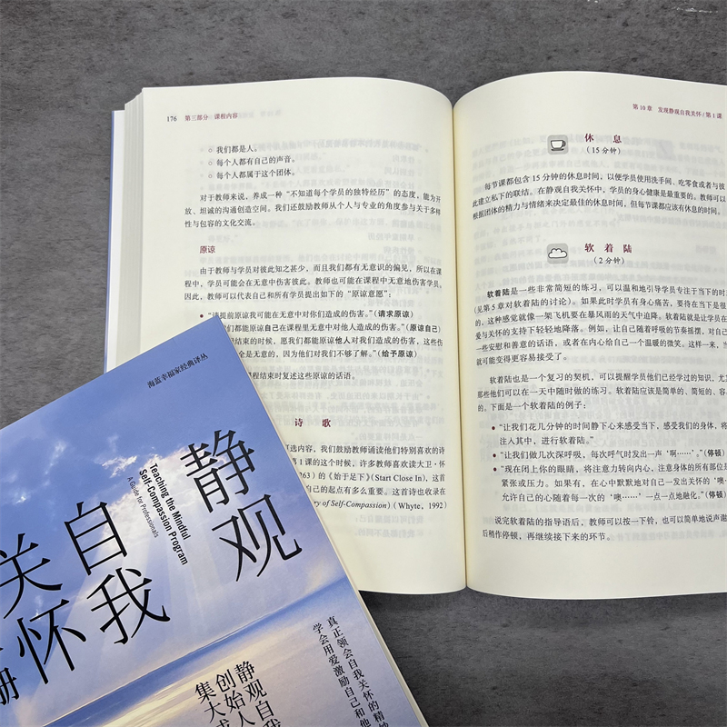 静观自我关怀专业手册 克里斯托弗 杰默 核心内容 设置原理 心理治疗 教练 医护 商业 教育 互动过程 指导练习 机工社