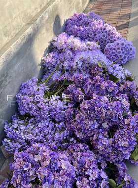 紫色爱丽丝新娘手捧花束