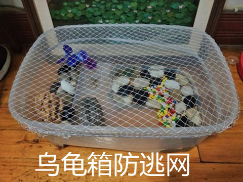 乌龟缸防逃网 防乌龟逃逸防越狱 养龟箱子防跳网乌龟箱防猫网缸罩 - 图3