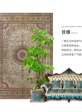 亿丝别墅客厅卧室书房家用南阳出口蚕丝挂毯欧美手工真丝波斯地毯