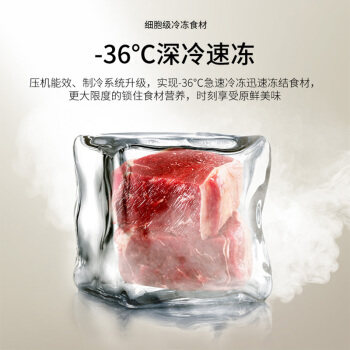 澳柯玛bc / bd-102dne家用小型冰柜 澳柯玛冷柜