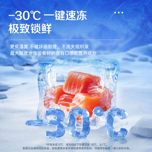 【国补20%】澳柯玛 BC/BD-202NE 家用冰柜冷藏冷冻冷柜减霜抑菌 - 图2