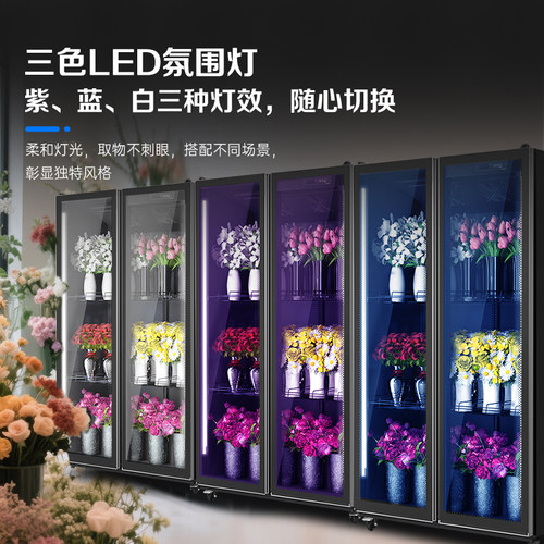 澳柯玛鲜花保鲜柜花墙花店专用酒水水果冷藏展示柜冷柜冰箱风冷 - 图3