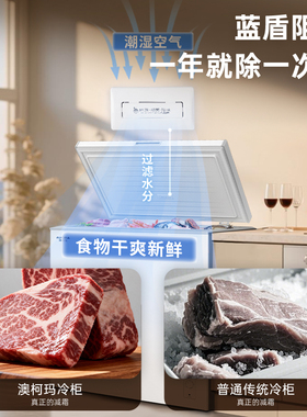 澳柯玛207升冷冻冷藏家用冰柜