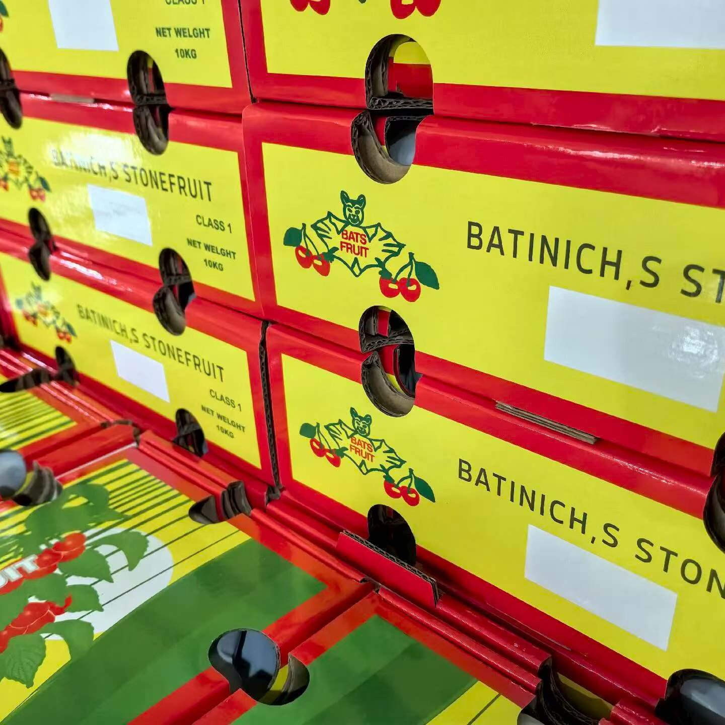 澳洲蝙蝠西梅3～5斤澳大利亚进口大西梅当季新鲜水果李子顺丰包邮,淘宝优惠券,粉丝福利购,淘宝优惠卷