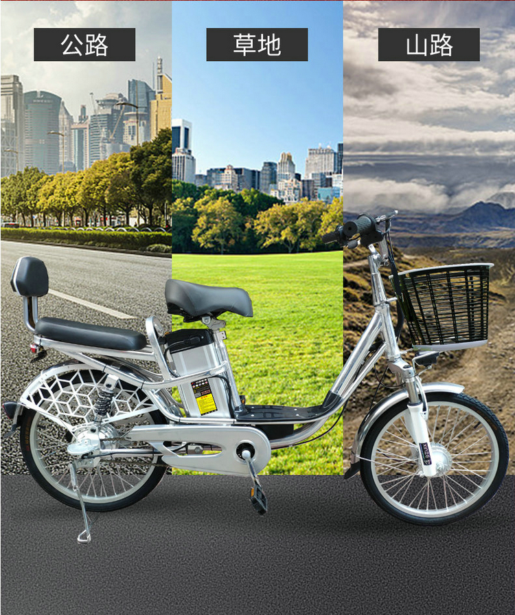 20寸新国标铝合金电动车 48V双减震电动自行车男女轻便助力电瓶车
