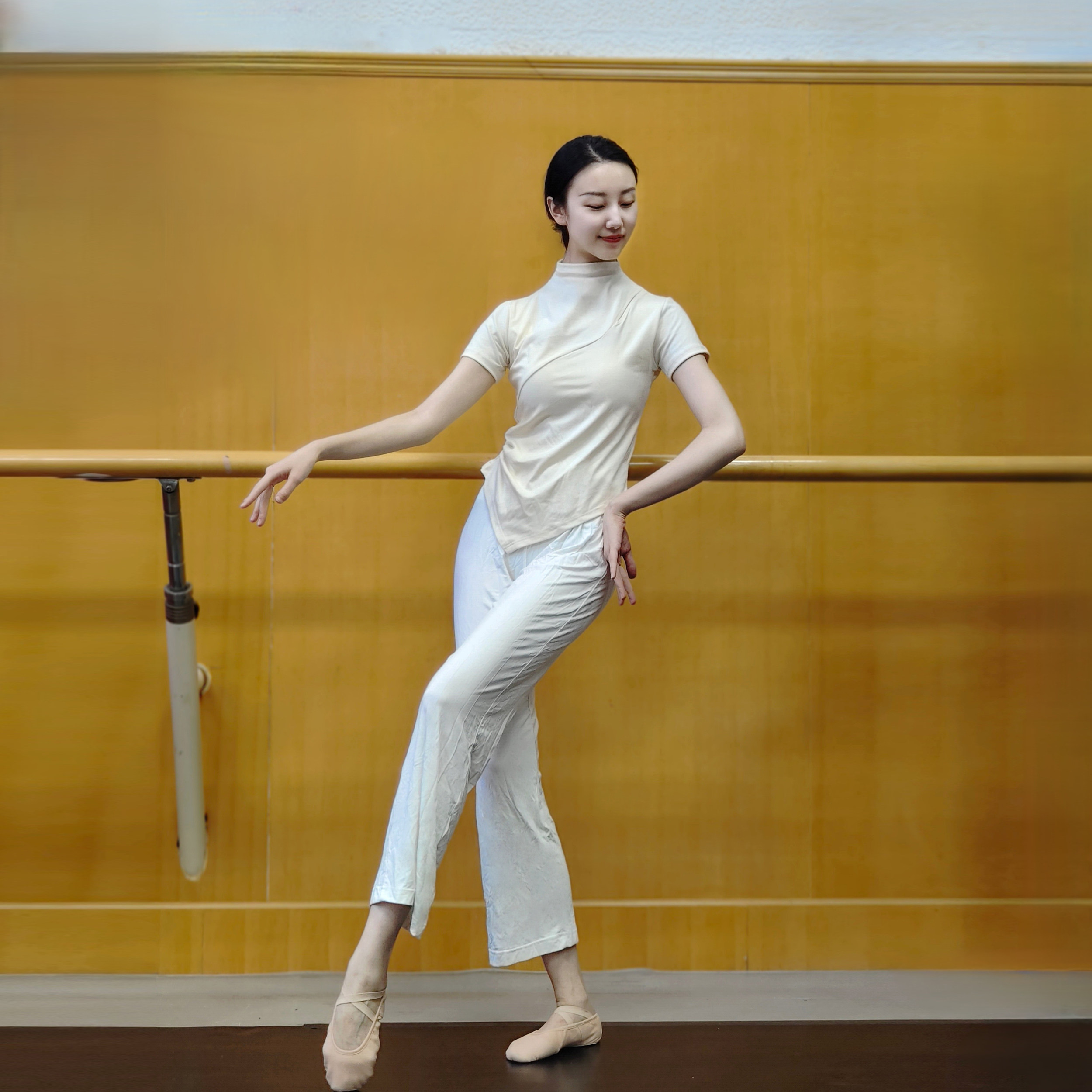 现代舞夏季成人舞蹈服短袖上衣练功修身中国古典民族跳舞服女瑜伽
