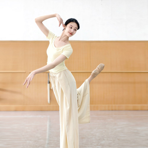 现代舞上衣古典舞练功服夏季中国舞服装女款新款显瘦时尚舞蹈衣服 - 图2