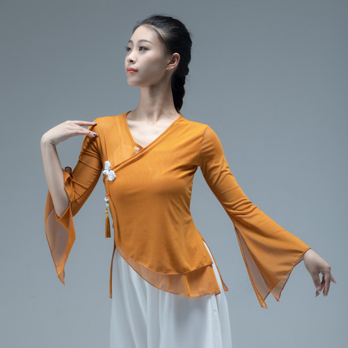 古典舞身韵练功服女夏纱衣民族舞上衣艺考仙气飘逸舞蹈服装敦煌舞 - 图1