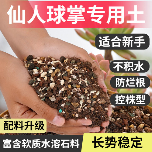 仙人球专用土仙人掌营养土蟹爪兰仙人柱仙人鞭盆栽土颗粒土壤种植 - 图2