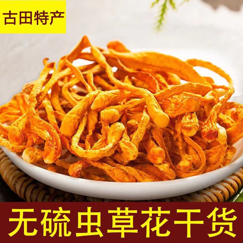 虫草花干货50g尝鲜煲汤金虫草北正品蛹虫草野生菌菇商用干虫草菌 - 图0