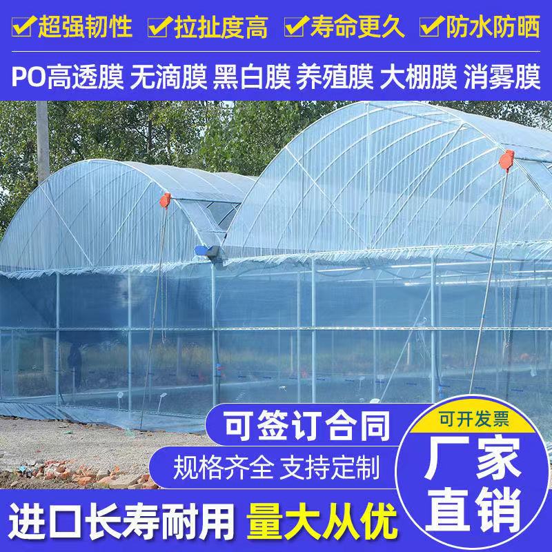 无滴膜蓝色大棚膜透明加厚塑料薄膜防水布塑料纸农用养殖保温棚膜 - 图0