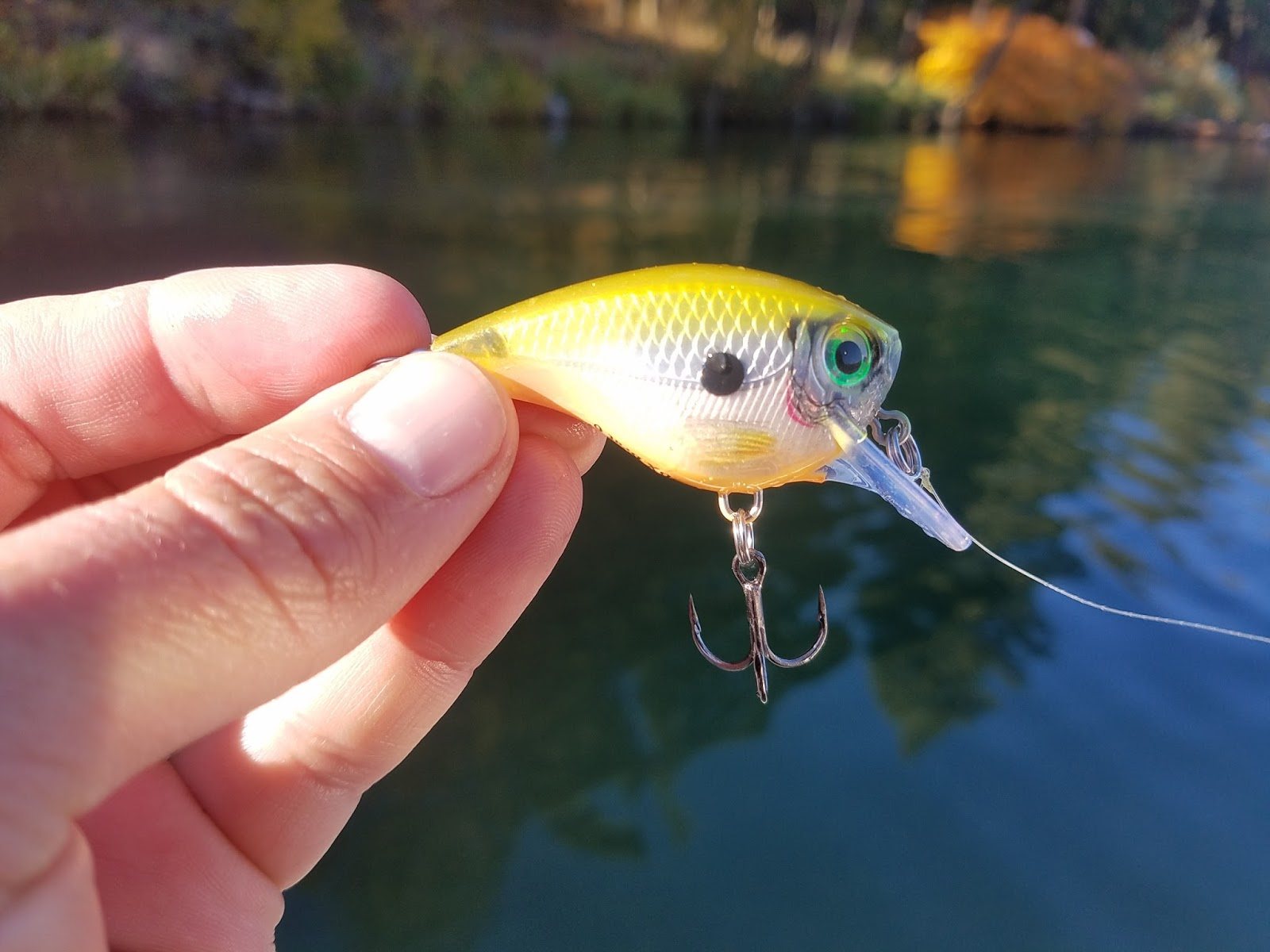 Rapala乐伯乐BXB03 06巴尔杉木摇摆拟饵路亚小胖CRANK鳜鱼鲈鱼饵,淘宝优惠券,粉丝福利购,淘宝优惠卷