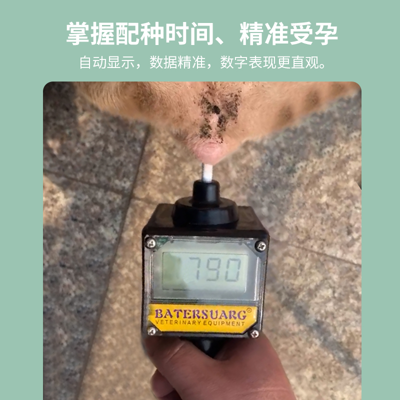 倍特双犬排卵测定仪狗发情鉴定全自动配种仪器检测精准狗爬狗配种 - 图1