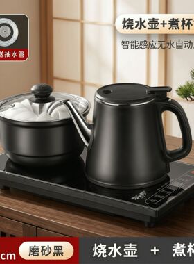 茶桌嵌入式自动抽水防烫电茶炉