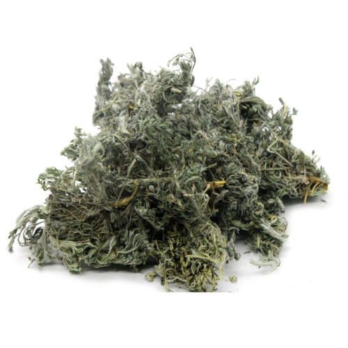 天然绵茵陈500克三月新鲜干货中药材正宗绵茵陈篙无硫茵陈茶 - 图1