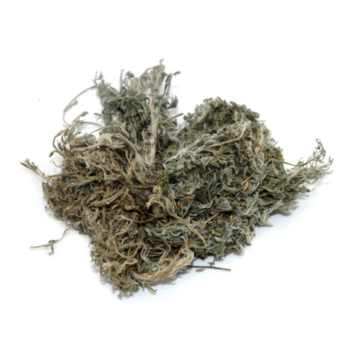 天然绵茵陈500克三月新鲜干货中药材正宗绵茵陈篙无硫茵陈茶 - 图0