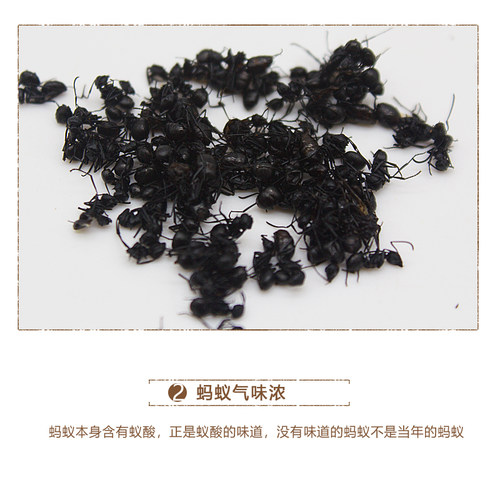广西大黑蚂蚁干山蚁拟黑多刺蚁中药材养生泡酒食用500g另售蚂蚁粉 - 图1