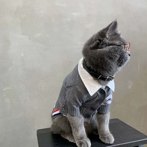 Кошка осень и зимняя одежда Pet Cat Cat Котенок Короткий голубая кошачь